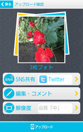 まとめてSNSへ