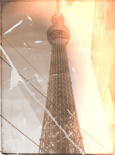 こんな写真ができました