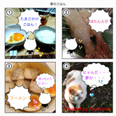 TwitterやFacebook、Instagramで共有できます！