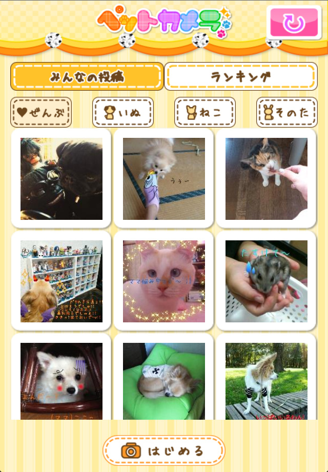 みんなの可愛いペット写真。癒されます~!