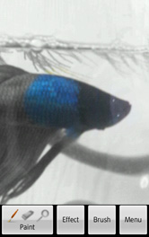 なぞった部分がカラーになりました!