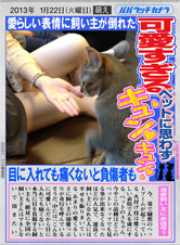 写真ができたら自慢しちゃいましょ♪