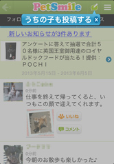 ペットとあなたのプロフィールを登録して、ログイン！