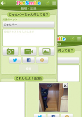 可愛いペットの写真を投稿！