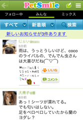 ペット好きの仲間がたくさんいるので、楽しく交流できます！