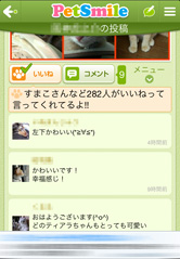 ペット好きの仲間がたくさんいるので、楽しく交流できます！